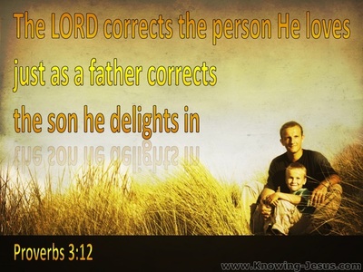 Proverbs 3:12 God Corrects Us (yellow)